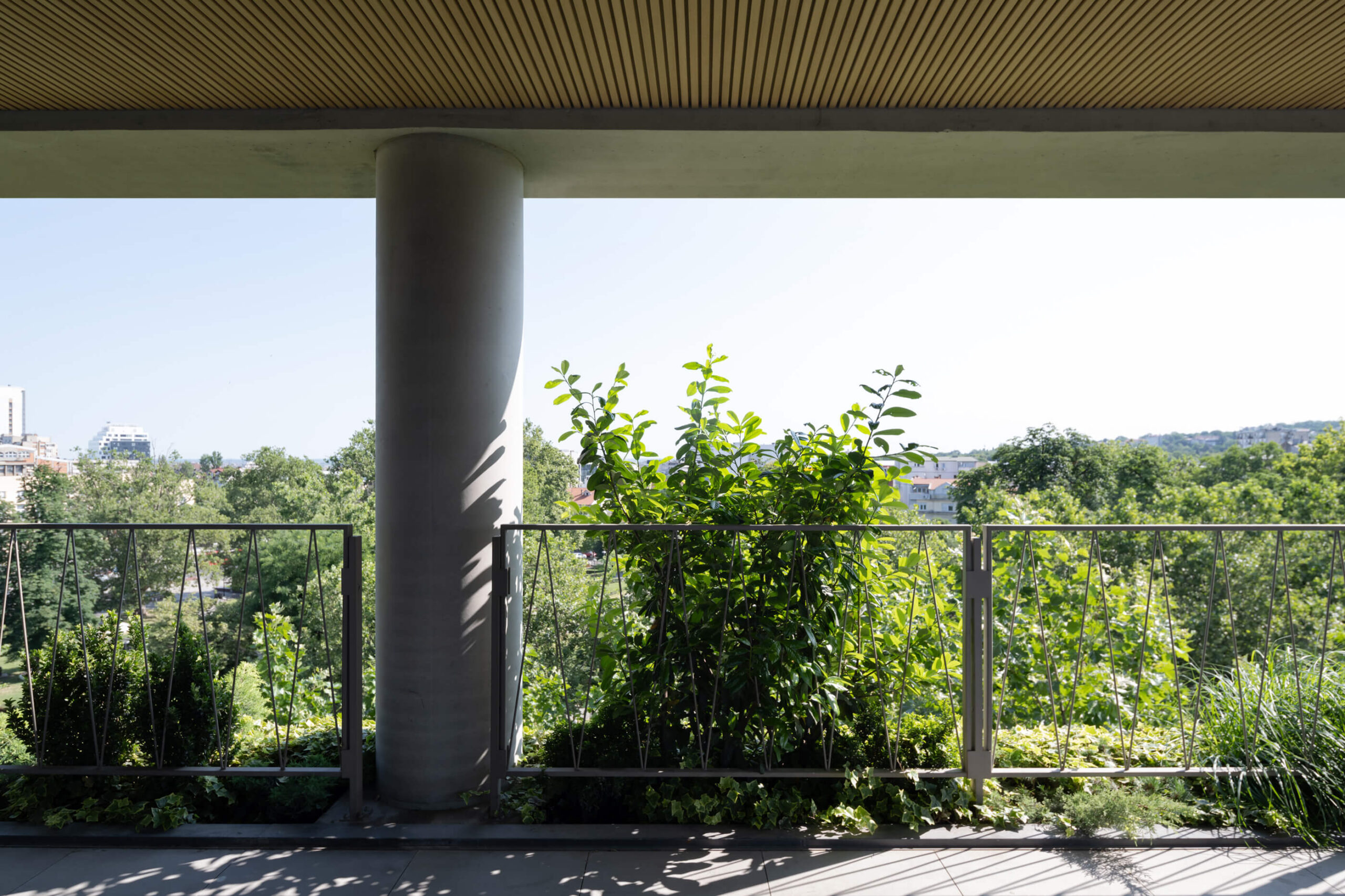 _zabriskie_revolucija_projekat_03