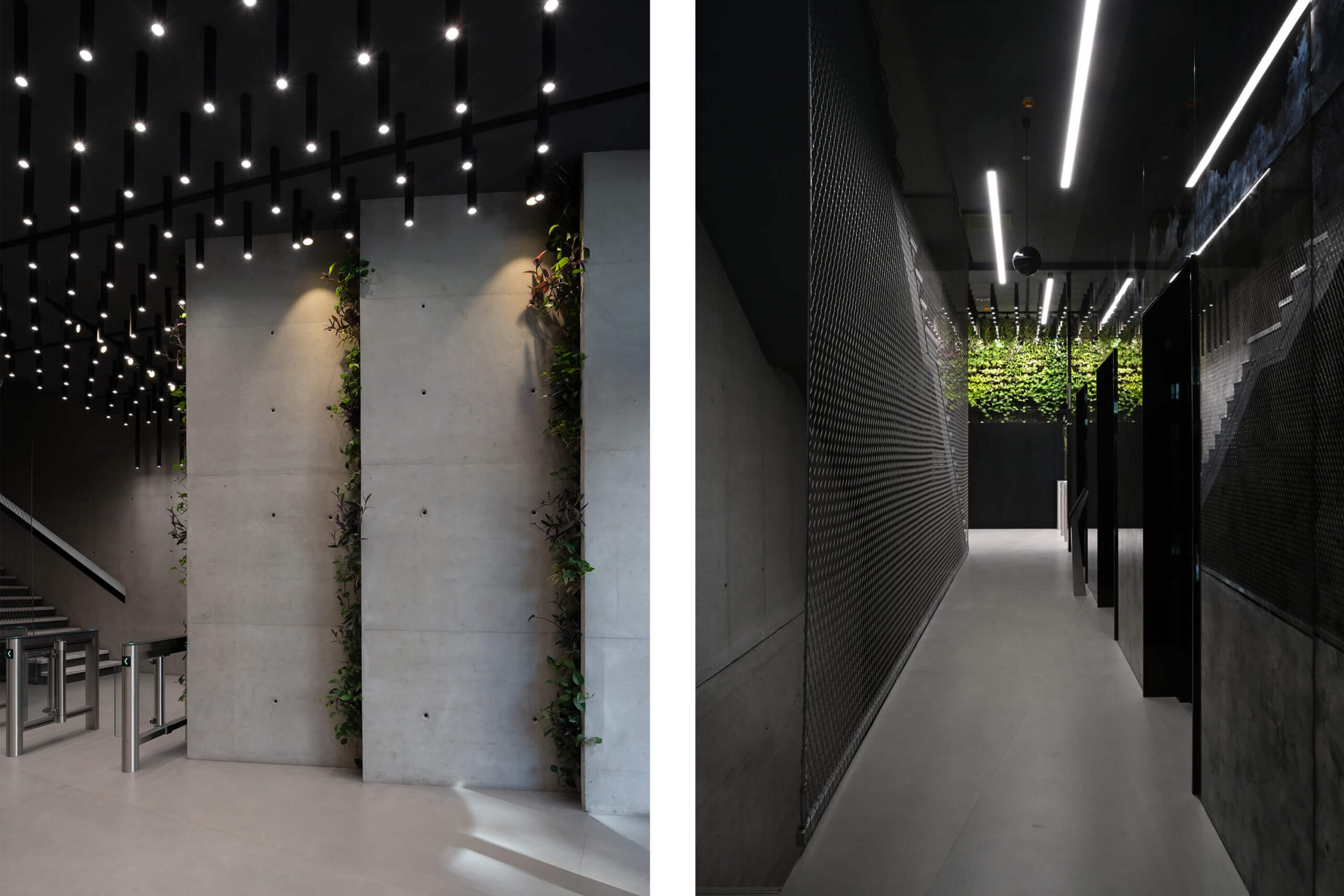 _zabriskie_revolucija_projekat_galerija_01